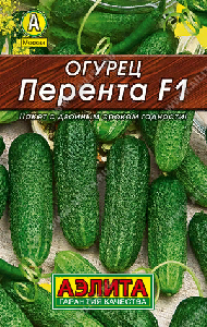 Огурец Перента F1  0,3гр/10шт (Аэлита)