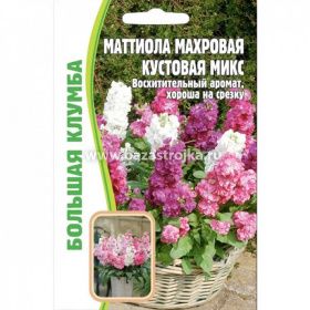 Маттиола махровая кустовая микс  0,1г