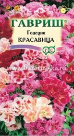 Годеция Красавица  0,1гр (Гавриш)