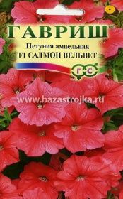 Петуния Салмон Вельвет амп. 4-5шт (Гавриш)